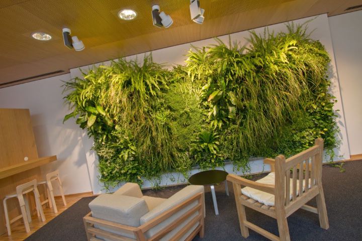 7 meravigliosi benefici del giardino verticale interno Giardino verticale interno