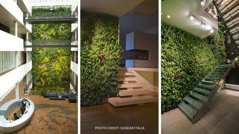 Piante per giardino verticale idee per la casa nukelol.com Giardini verticali per interni
