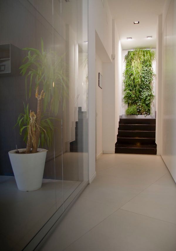 7 meravigliosi benefici del giardino verticale interno Giardino a parete