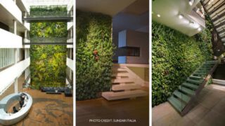 7 Meravigliosi benefici del giardino verticale interno!
