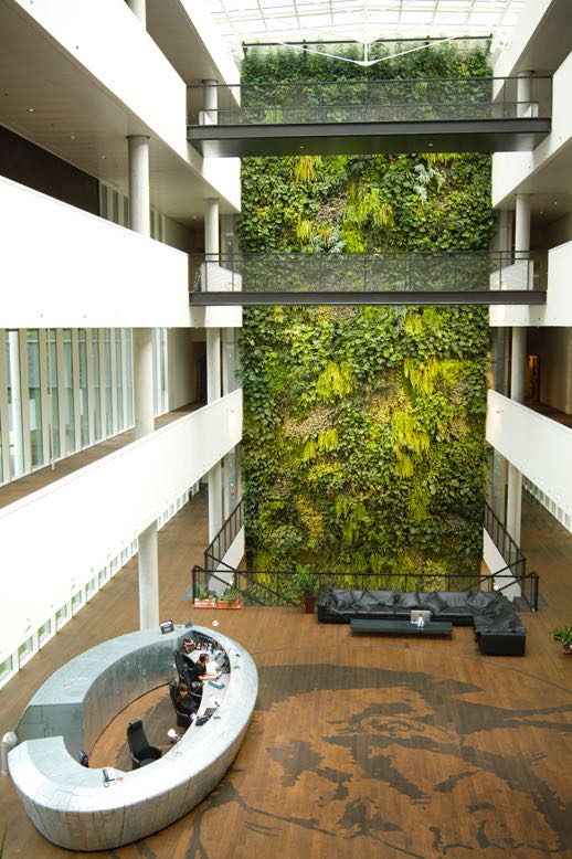 7 meravigliosi benefici del giardino verticale interno Giardino verticale interno