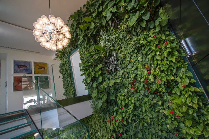 7 meravigliosi benefici del giardino verticale interno Giardini verticali per interni