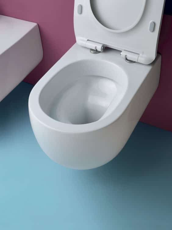 rimless wc